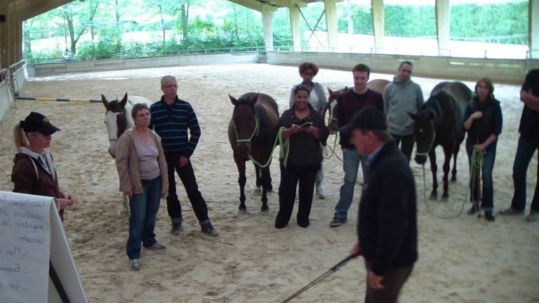 Séminaire management : atelier éthologie avec cheval